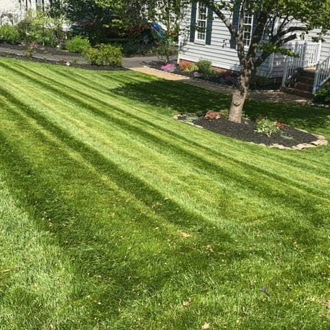 Lawn Care & Maintenance