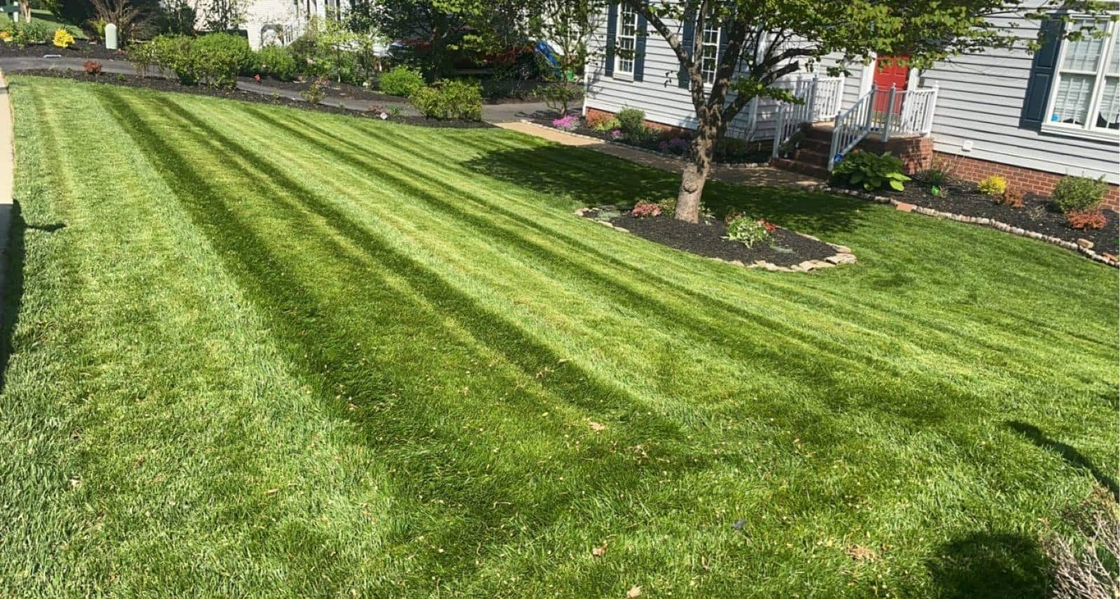 Lawn Care & Maintenance